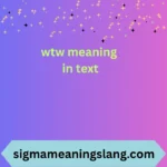 wtw meaning in text