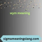 wym meaning