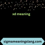 xd meaning
