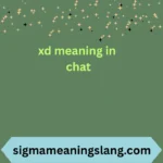 xd meaning in chat