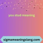 you stud meaning