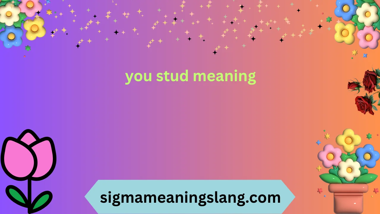 you stud meaning