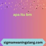 apa itu bm