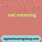 awl meaning