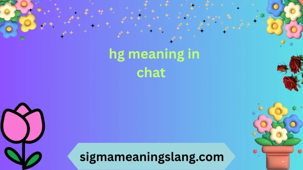 hg meaning in chat