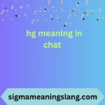hg meaning in chat