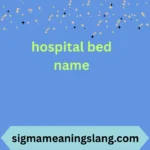 hospital bed name