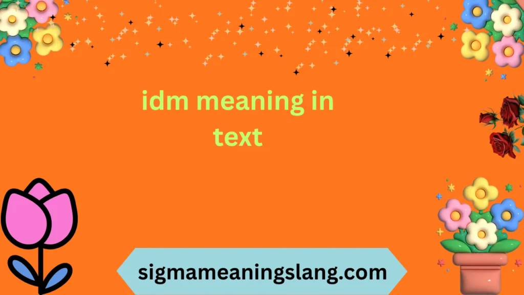 idm meaning in text