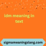 idm meaning in text