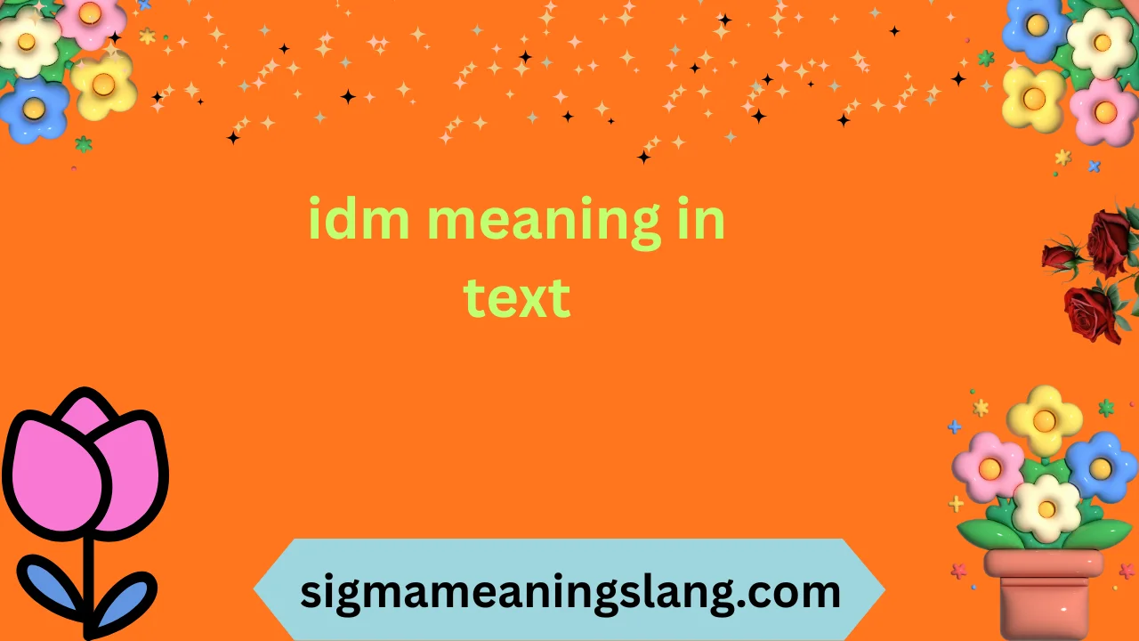 idm meaning in text