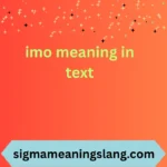 imo meaning in text