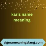 karis name meaning