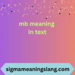 mb meaning in text