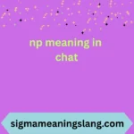 np meaning in chat