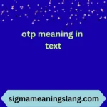 otp meaning in text