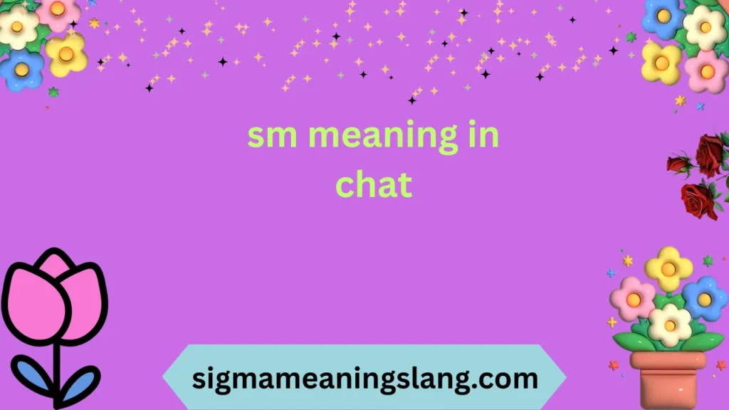 sm meaning in chat
