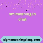 sm meaning in chat