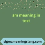 sm meaning in text