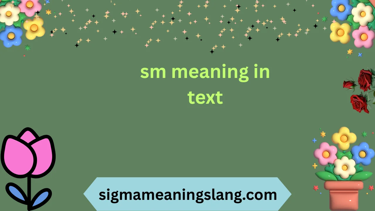 sm meaning in text
