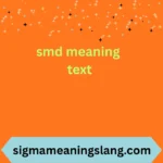 smd meaning text