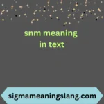 snm meaning in text