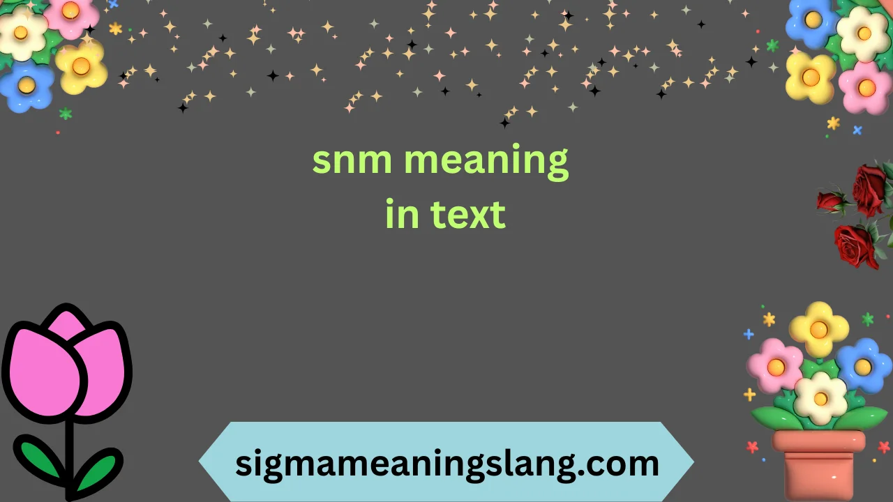 snm meaning in text