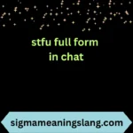 stfu full form in chat