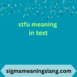 stfu meaning in text