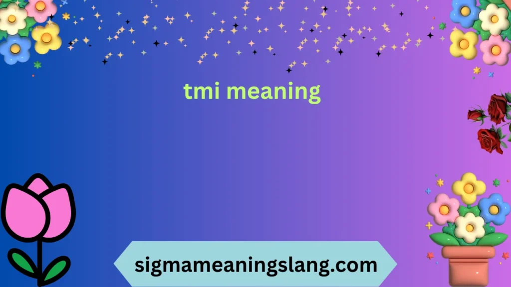 tmi meaning