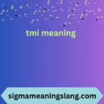 tmi meaning