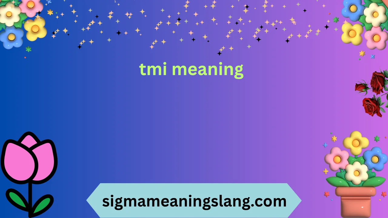 tmi meaning