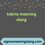 tokms meaning slang