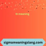 tt meaning