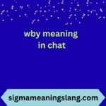 wby meaning in chat