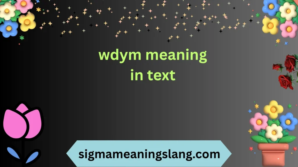 wdym meaning in text