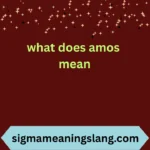 what does amos mean