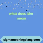what does idm mean