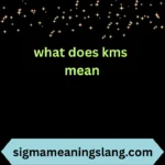 what does kms mean