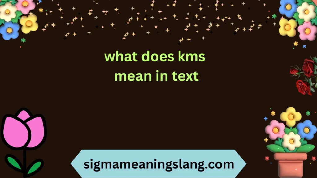 what does kms mean in text