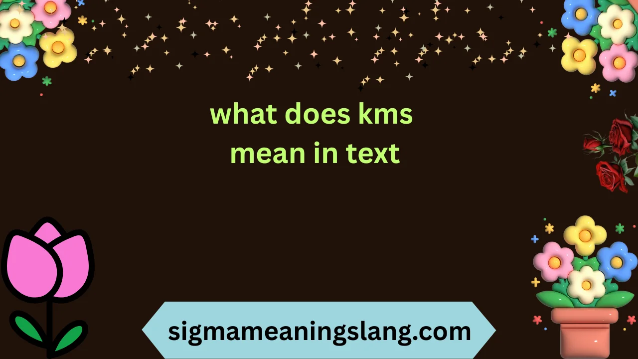 what does kms mean in text