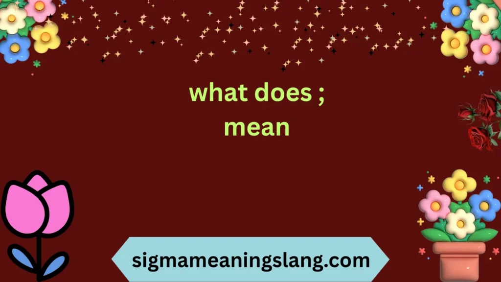 what does ; mean
