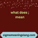 what does ; mean