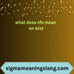 what does nfs mean on wizz