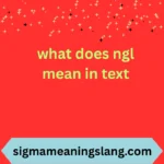 what does ngl mean in text