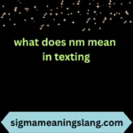 what does nm mean in texting