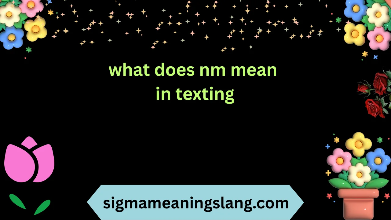what does nm mean in texting