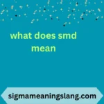 what does smd mean