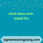 what does smh stand for