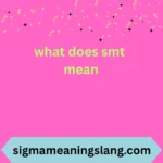 what does smt mean