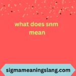 what does snm mean